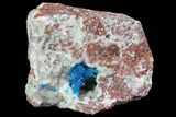 Vibrant Blue Cavansite Clusters on Stilbite - India #67802-1